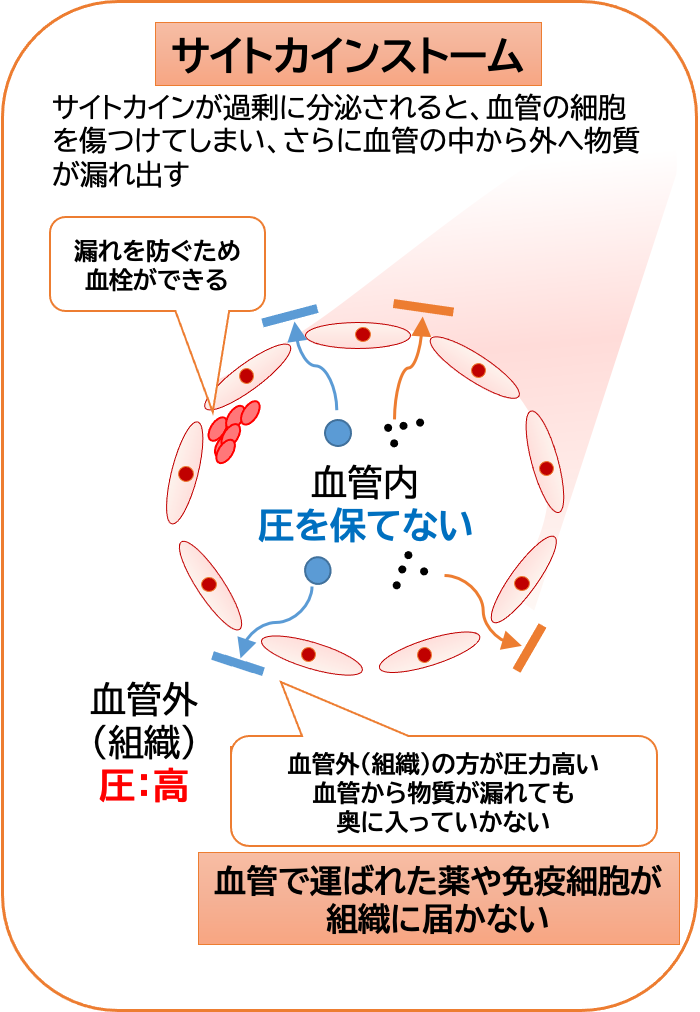 3. どんな病気なの？ | NEWS&TOPICS | 大阪大学微生物病研究所 RIMD