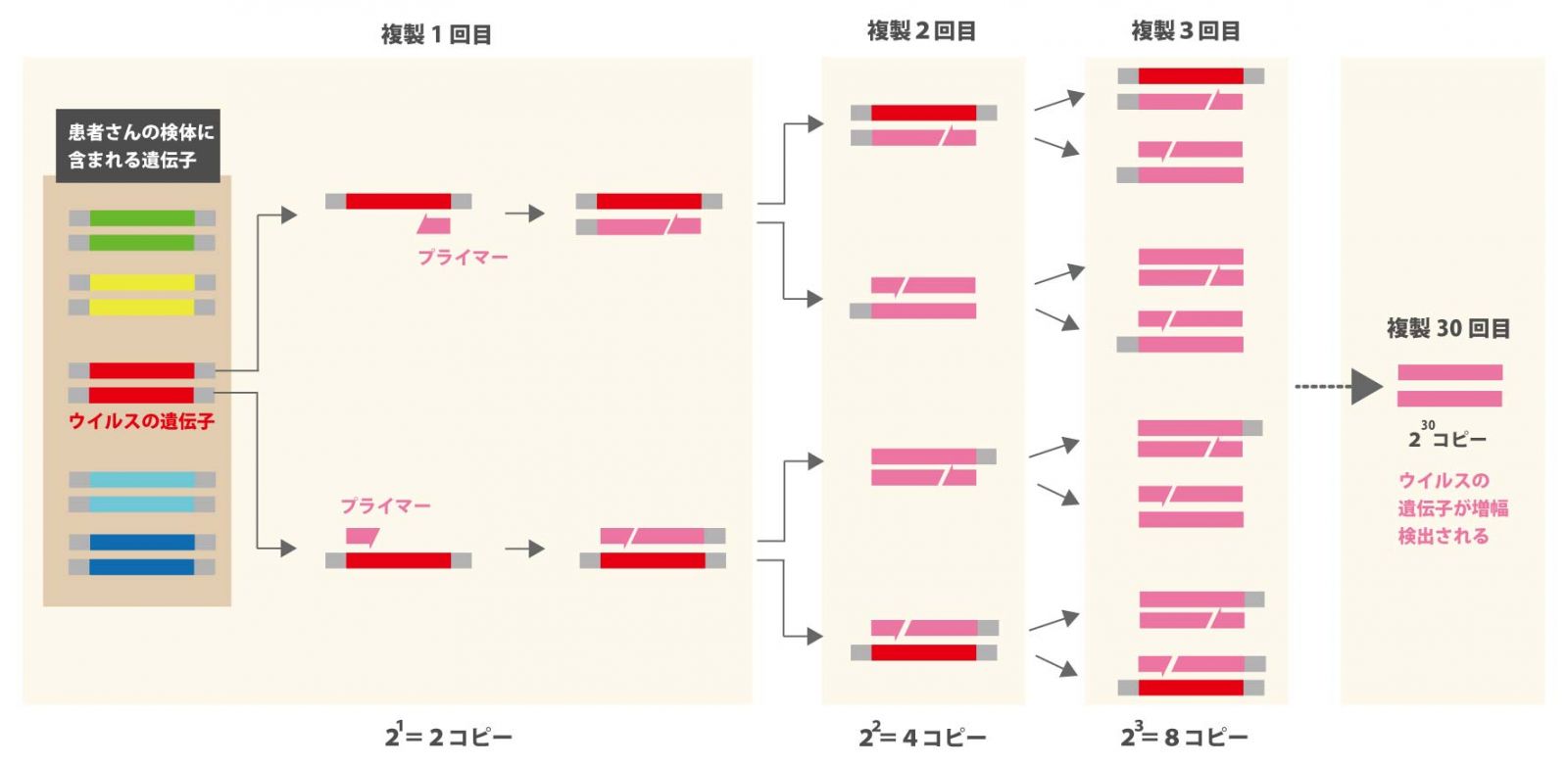 コロナ pcr 新型