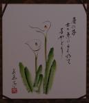 Click on one of the size names above to enlarge this image