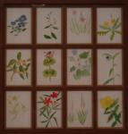 Click on one of the size names above to enlarge this image