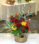 この画像の拡大には以下の大きさからクリックして選んでください