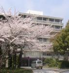 この画像の拡大には上記の大きさからクリックして選んでください この画像の拡大には上記の大きさからクリックして選んでください