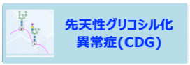 先天性グリコシル化異常症(CDG)